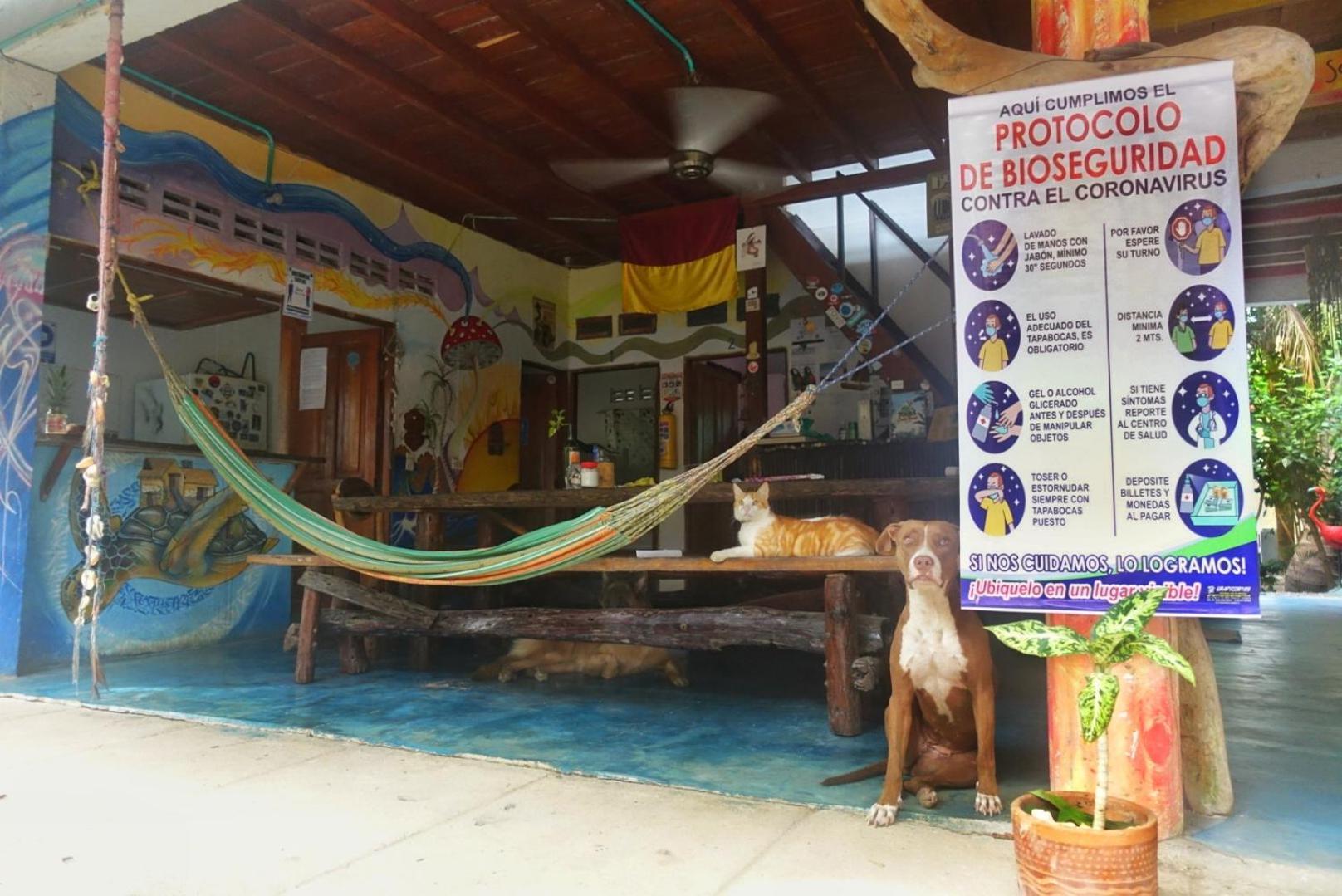 Casa Surf Mar Azul Hotel Паломино Екстериор снимка